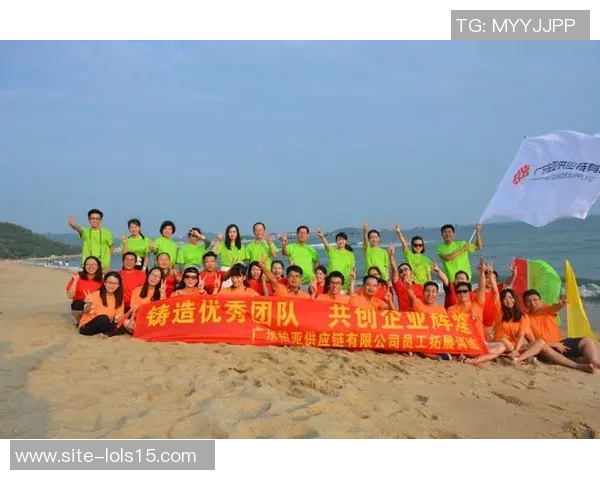 张帆携手团队共创辉煌未来探索创新与合作的新篇章